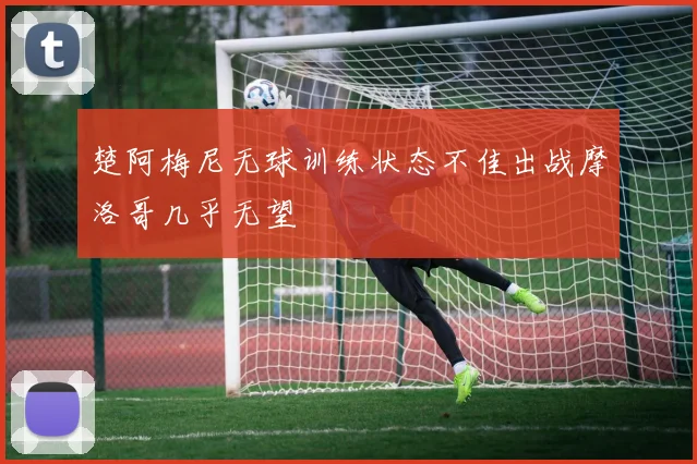 楚阿梅尼无球训练状态不佳出战摩洛哥几乎无望