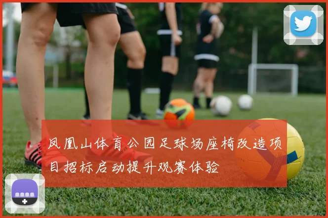 凤凰山体育公园足球场座椅改造项目招标启动提升观赛体验