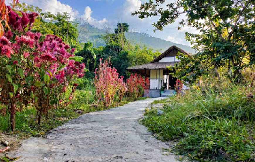 Bamboo Resort & ATV Park